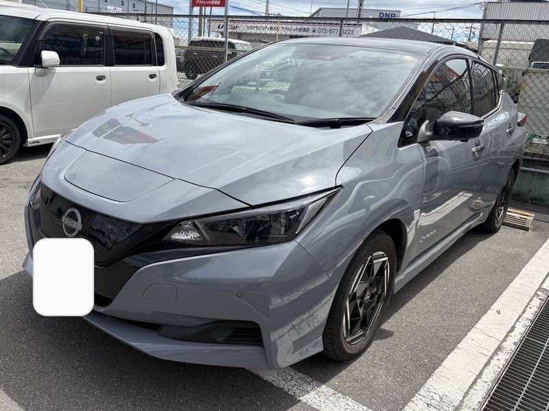 リーフ X